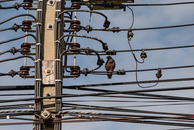 Low angle view of cables against sky