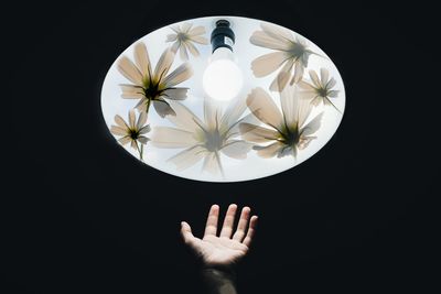 Cropped hand reaching illuminated pendant light in darkroom