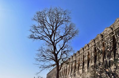 Low angle view of fort by tree against clear blue sky