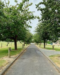 Empty road along trees in park