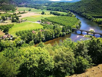 High angle view of river amidst trees