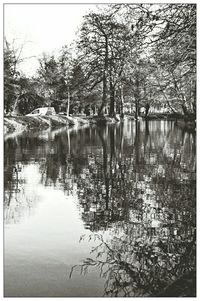 Scenic view of lake