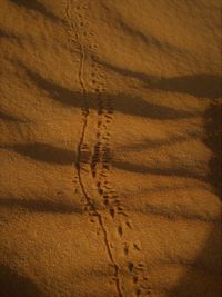 High angle view of a desert