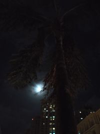 Low angle view of illuminated building at night