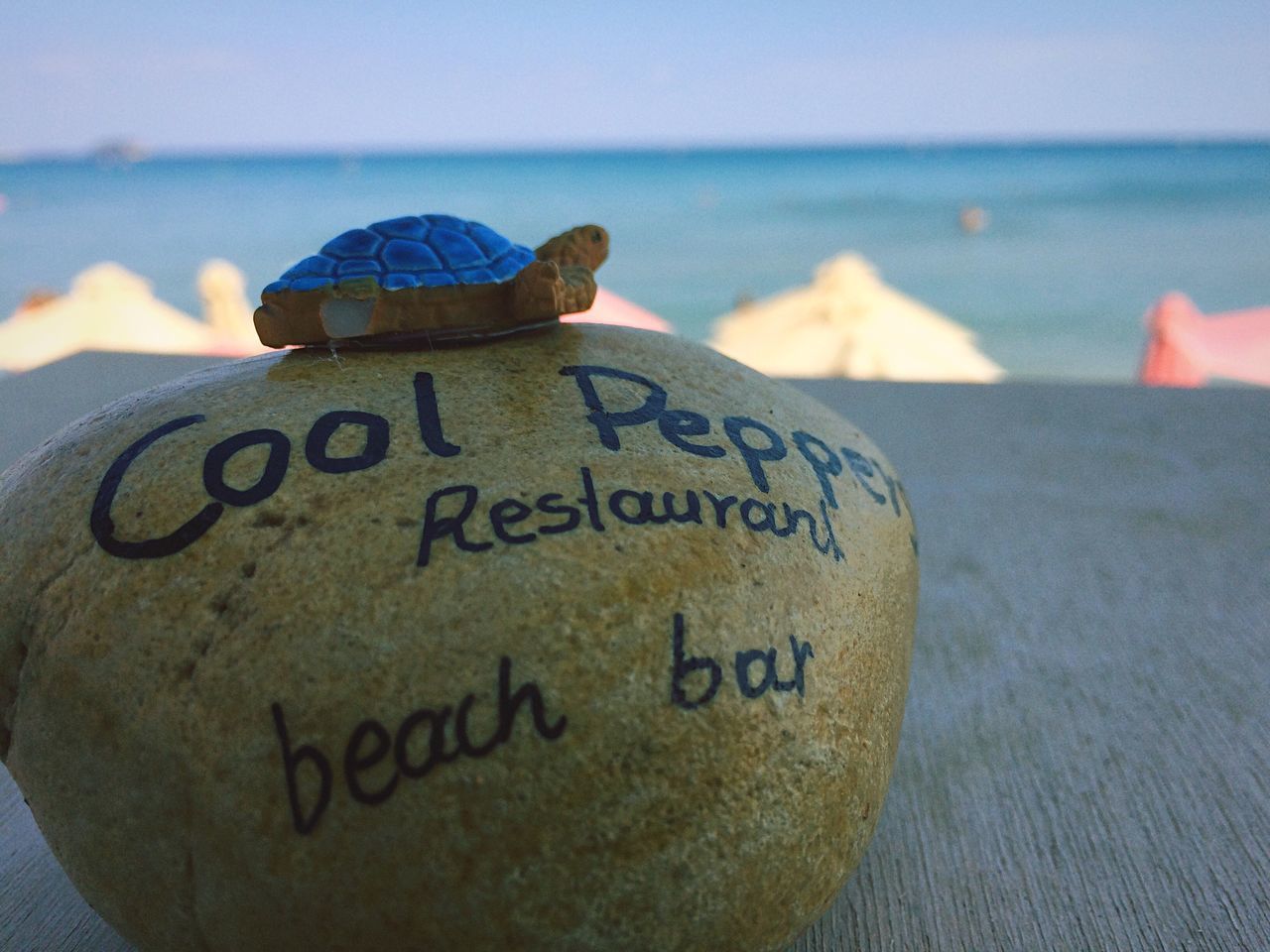 text, western script, communication, sea, close-up, focus on foreground, beach, water, non-western script, capital letter, horizon over water, sign, message, sand, no people, day, shore, nature, outdoors, guidance