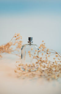 Close-up of bottles against white background