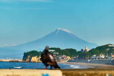 Rear view of bird  looking at sea against sky