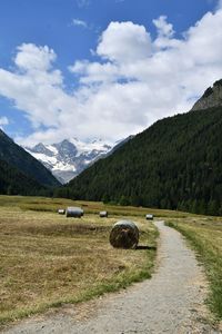 Scenic view of landscape and mountains against sky