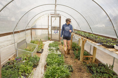 A woman walks through a greenhouse full of seedlings, tending plants