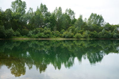 Reflection of trees in lake against sky