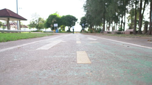 Surface level of road amidst trees