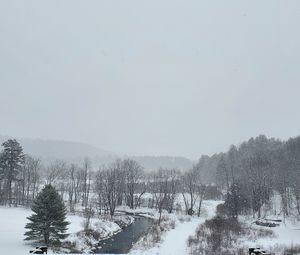 Trees on snow covered land against sky