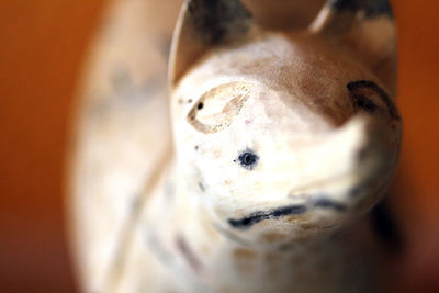 Close-up of food on table