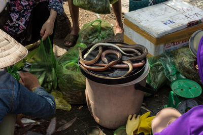 High angle view of fishes for sale at market