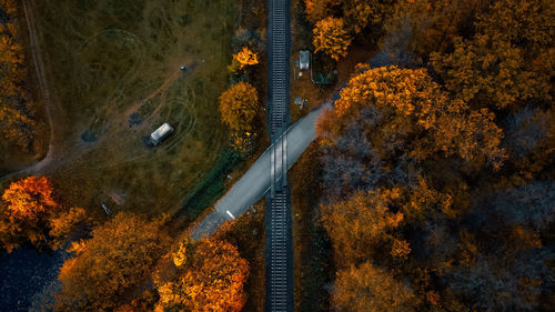 High angle view of road amidst trees