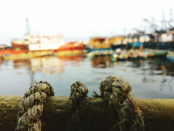 Close-up of ropes on railing in harbor