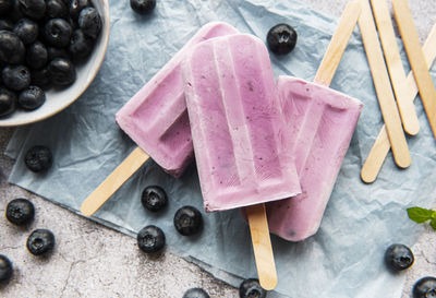 Ice cream popsicles from homemade yogurt and fresh organic blueberries.