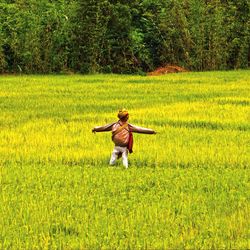 Rear view of a boy standing on landscape