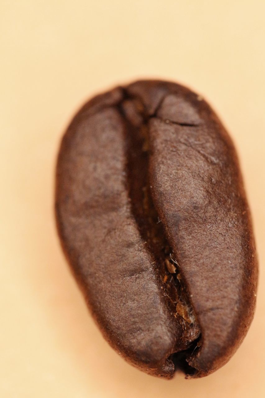 CLOSE-UP OF BREAD