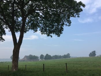 Scenic view of agricultural field against sky