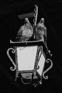 Close-up of decorations on table