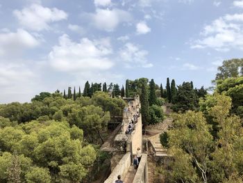 Panoramic shot of trees on landscape against sky