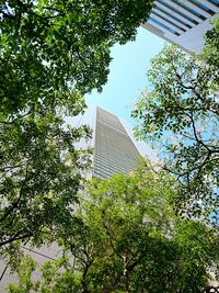 Low angle view of building