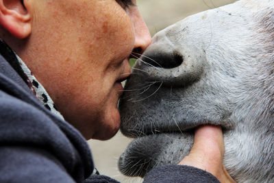 Close-up of woman kissing horse