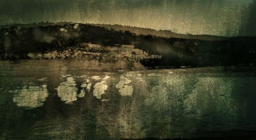 Reflection of trees in water