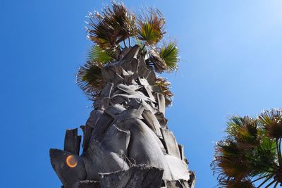 Low angle view of palm tree against blue sky