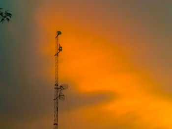 Low angle view of silhouette bird against orange sky