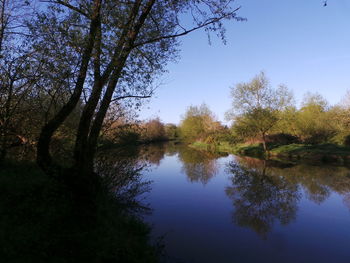 Reflection of trees in lake against sky