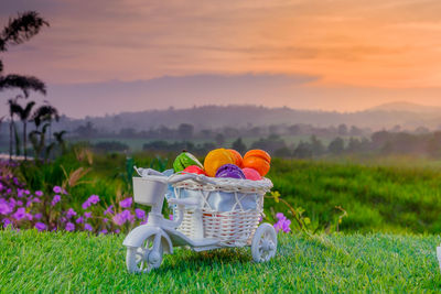 Flowers in basket on field during sunset
