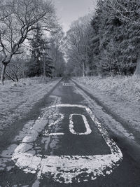 Black and white monochrome diminishing perspective country lane