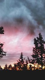 Silhouette trees against sky during sunset