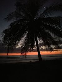 Silhouette palm trees at beach against sky at night