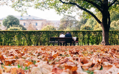 People sitting on bench in park during autumn