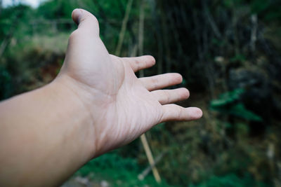 Close-up of man hand gesturing against plants