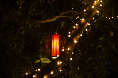 Low angle view of illuminated lanterns hanging on tree