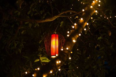 Low angle view of illuminated lanterns hanging on tree