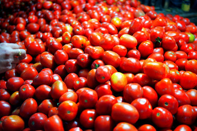 Full frame shot of tomatoes