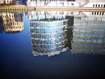 Reflection of trees in water