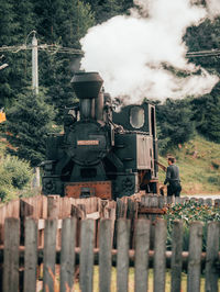 Panoramic shot of train by trees