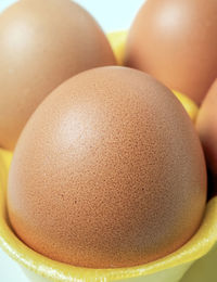 Close-up of eggs in carton