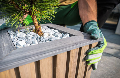 Midsection of man holding plant