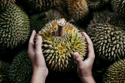 Cropped image of child holding durian at market stall