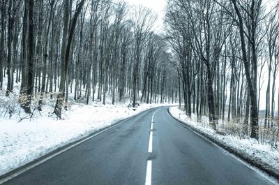 Road amidst bare trees during winter
