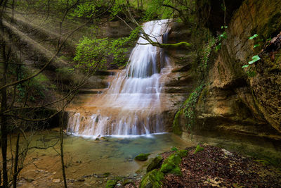 Scenic view of waterfall in forest