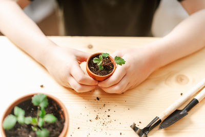 Child kid hand gardener holding sprout plant into  new ceramic pot on the wooden table. potted plant