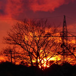 Silhouette bare trees against sky during sunset